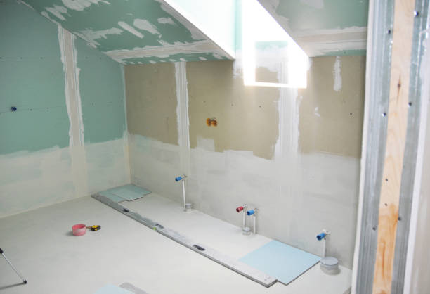 Best Black Mold Removal  in Christiana, TN