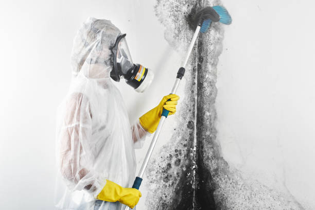 Best Indoor Air Quality Assessment  in Christiana, TN
