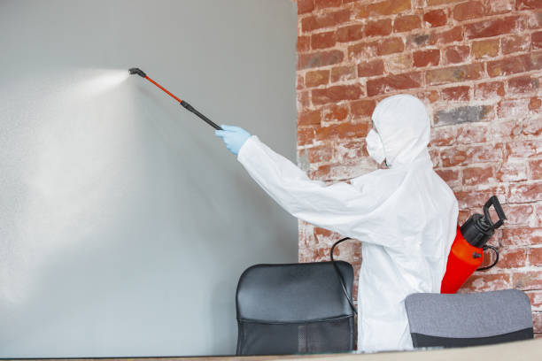 Best Comprehensive Air Testing for Mold Contaminants  in Christiana, TN